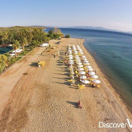 Blue Dream Koropi Pelion Milies South Pelion Διαμέρισμα Εξωτερικό φωτογραφία
