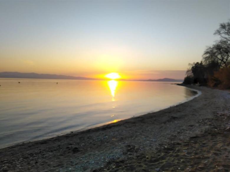 Blue Dream Koropi Pelion Milies South Pelion Διαμέρισμα Εξωτερικό φωτογραφία