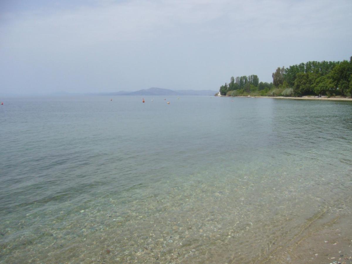 Blue Dream Koropi Pelion Milies South Pelion Διαμέρισμα Εξωτερικό φωτογραφία